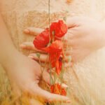 Séance photo grossesse dans les champs de fleurs